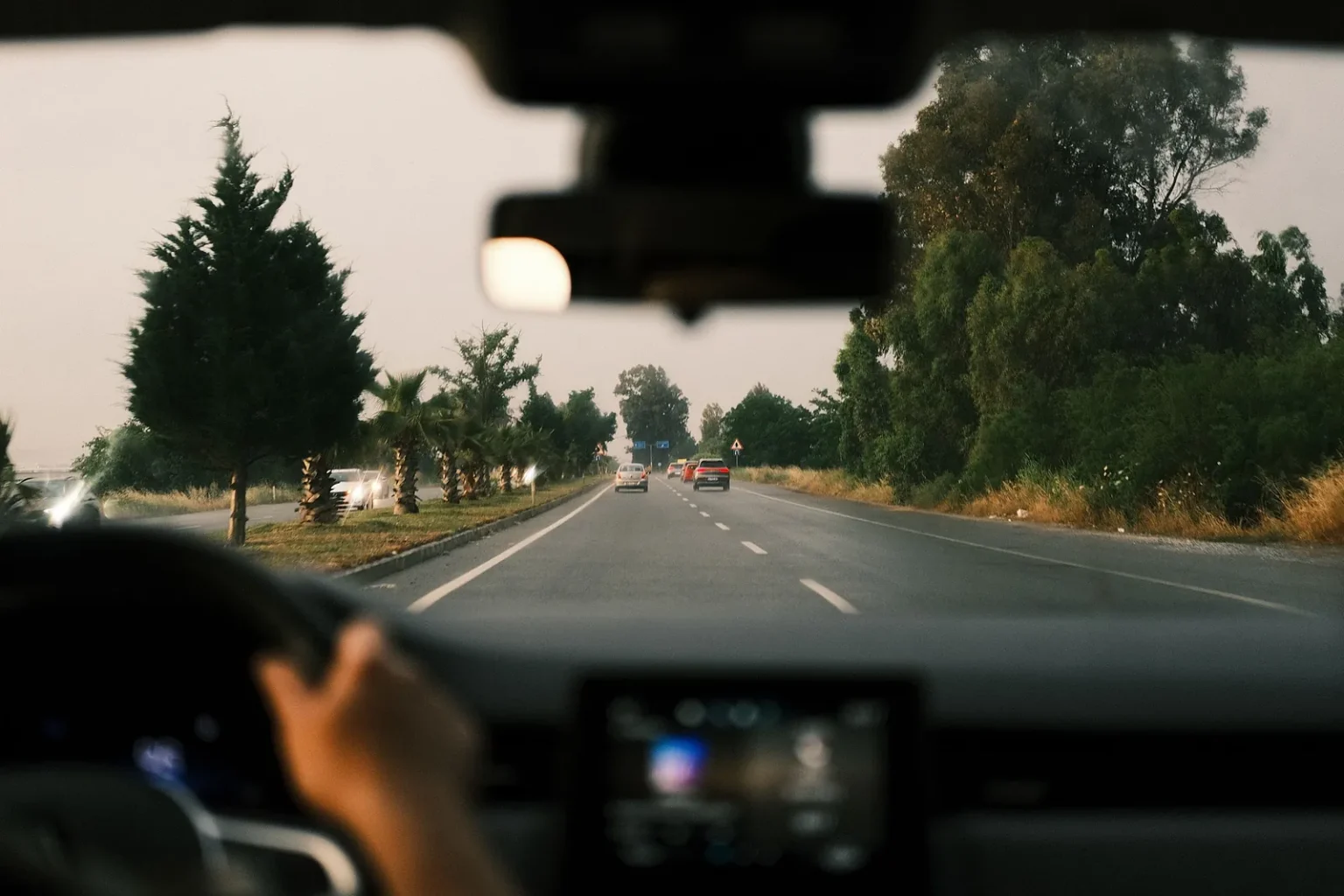 View through a car windscreen of a tree-lined road, the driver's hand on the wheel