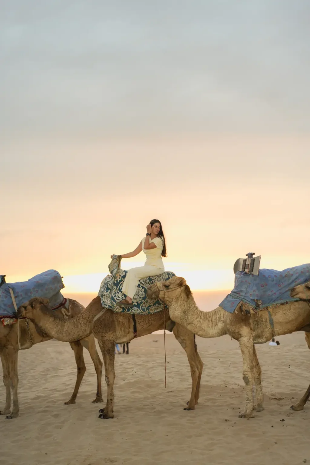 Camel caravan on the Timlalin sand at sunset