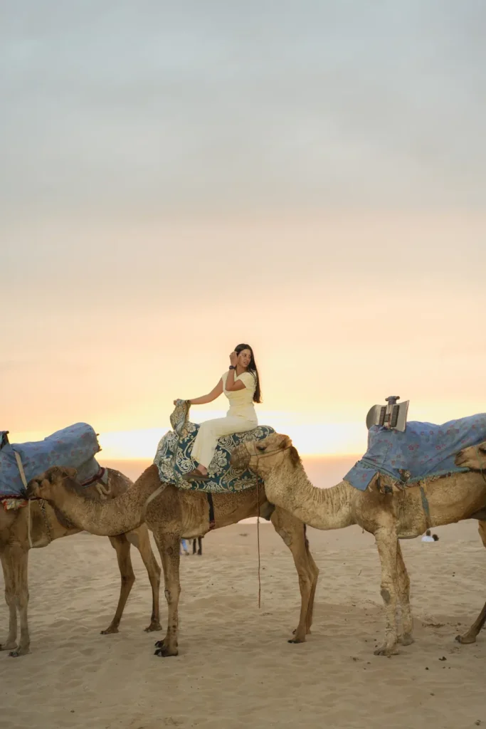Camel caravan on the Timlalin sand at sunset
