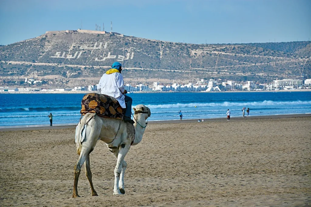 Man riding a saddled camel on Agadir beach below the Kasbah hill