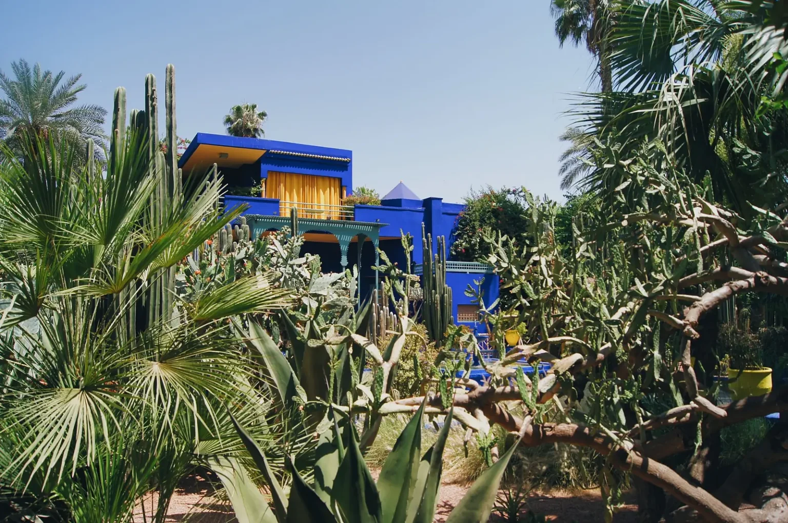 Blue villa and cactus garden of the Jardin Majorelle in Marrakech