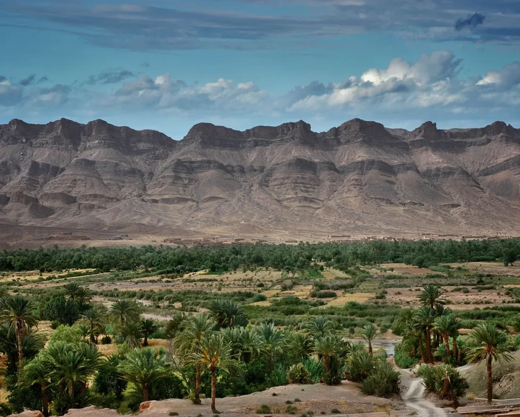 Palm grove of the Draa valley below the mountains near Zagora